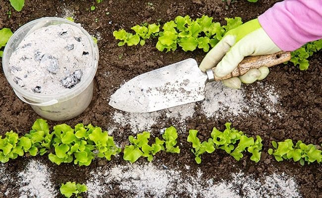 organic-gardening-supplies