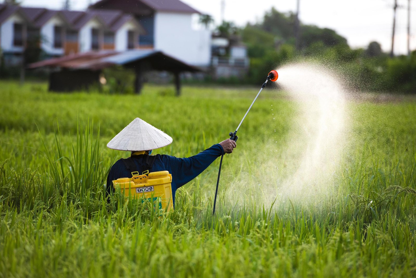 organic-farming 
