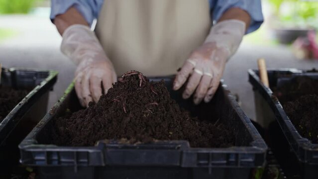 vermicompost