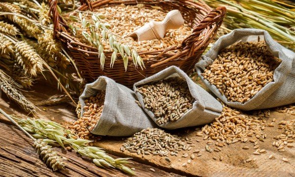 grains-cereals
