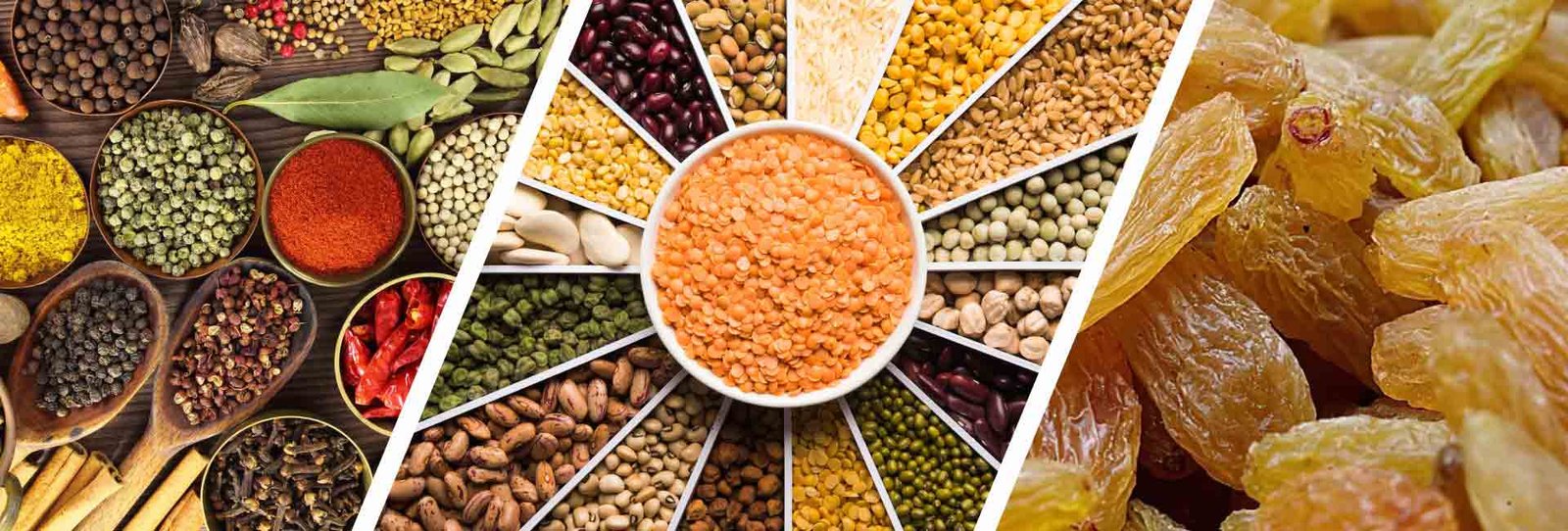 pulses-beans