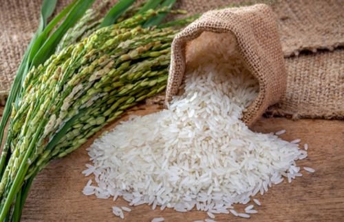 rice-basmati-non-basmati-organic-broken
